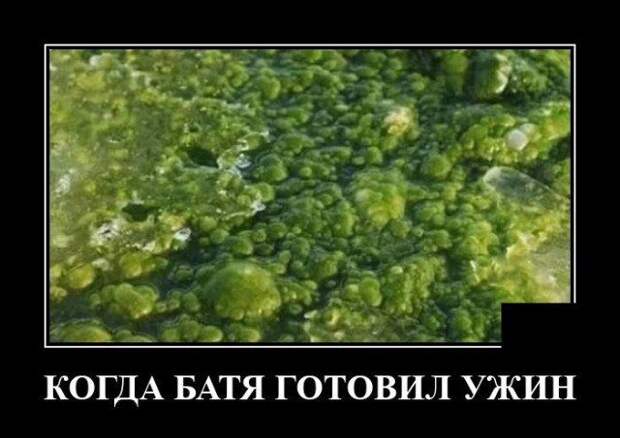 demotivatory-demotivator-smeshnye-demotivatory-demotivator-so-smyslom