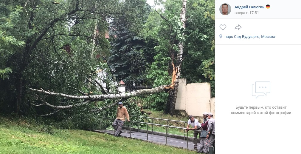 «Суперливень» повалил деревья в Саду Будущего