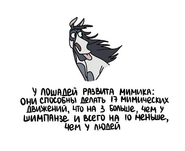 Любопытные коротенькие факты на все случаи жизни