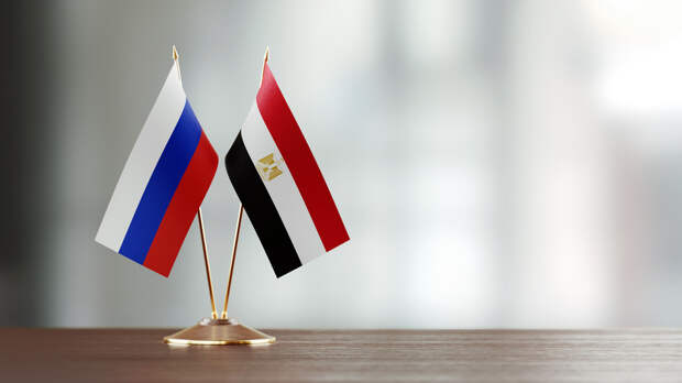 Лавров: Москва и Каир обсуждают расширение поставок энергоресурсов из России