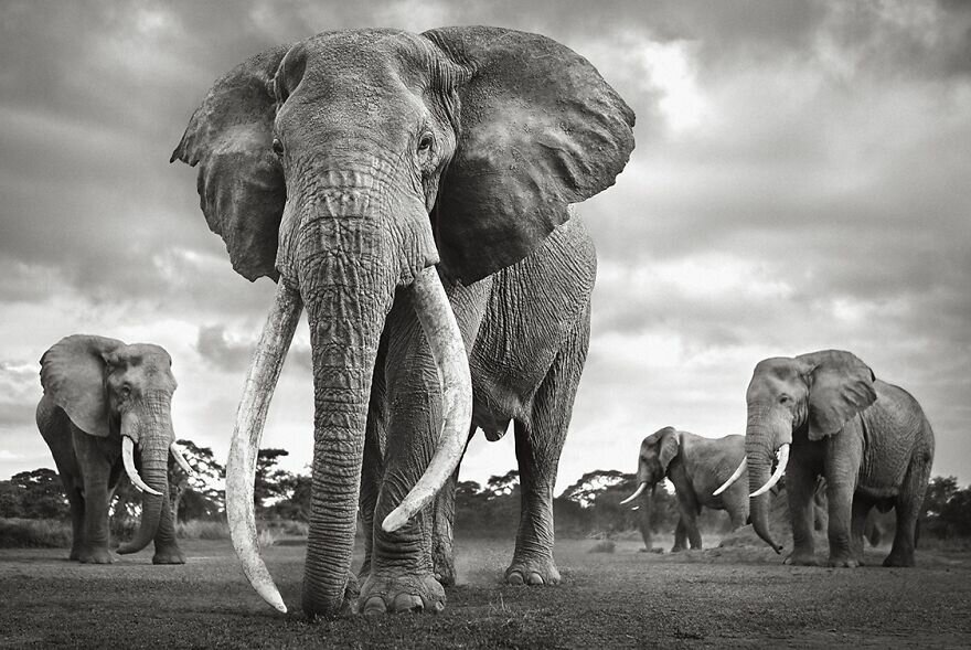 Andrew Doggett