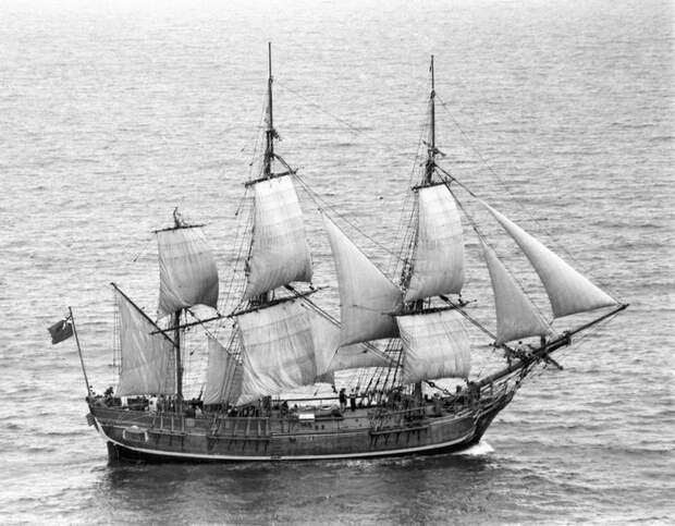 История мятежного «Баунти»: как это было история, корабль, море, мятеж