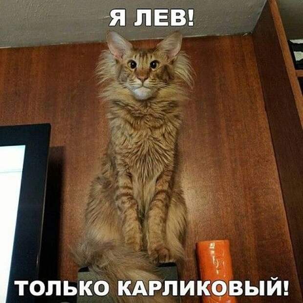 Подборка улетных картинок