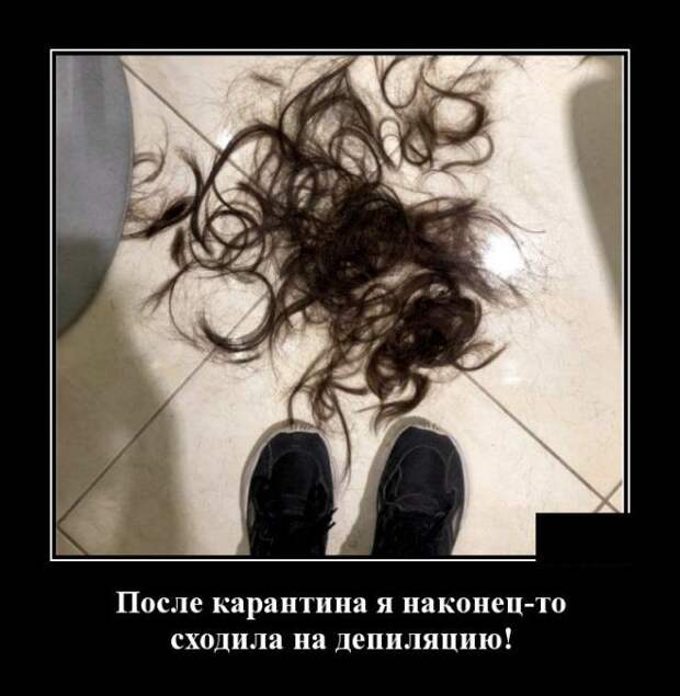 demotivatory-demotivator-smeshnye-demotivatory-demotivator-so-smyslom