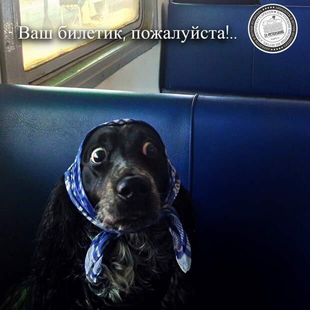 Ваш билетик