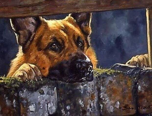 Уши, лапы, хвост