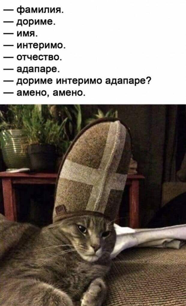 seti-shutki-memy-citaty-vkontakte-vkontakte-smeshnye-statusy
