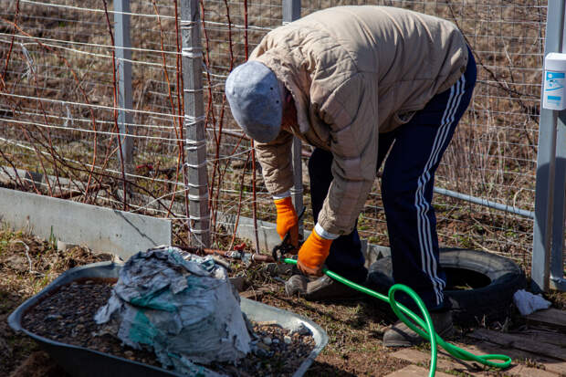 Названы популярные ошибки дачников весной