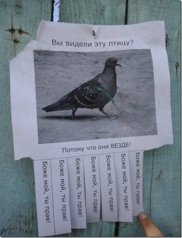 6df4ba35f0d02425493436176cf