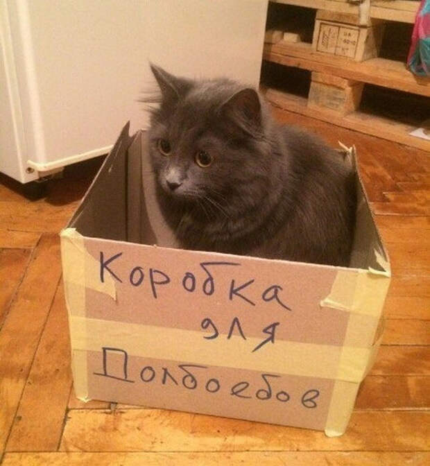 Непобедимая Россия (45 приколов) Непобедимая Россия (45 приколов)