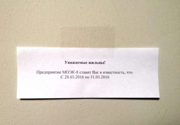 15 самых загадочных маразмов, найденных на просторах Интернета