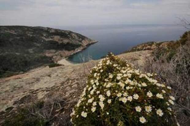 Остров Монте - Кристо: сокровище и красота Италии. Обсуждение на ...