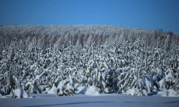 РИАН: почти треть в России старшеклассников хотят поехать в Азию