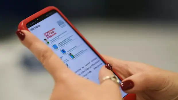 В Москве рассказали о воспользовавшихся функцией изменения поданного голоса на выборах