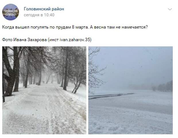 Фото дня: в поисках весны у Головинских прудов