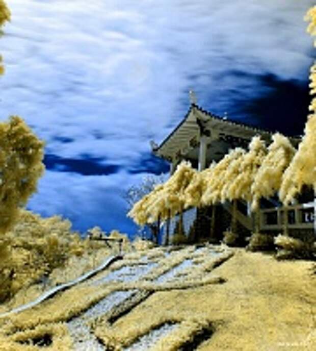 Инфракрасная фотография 13