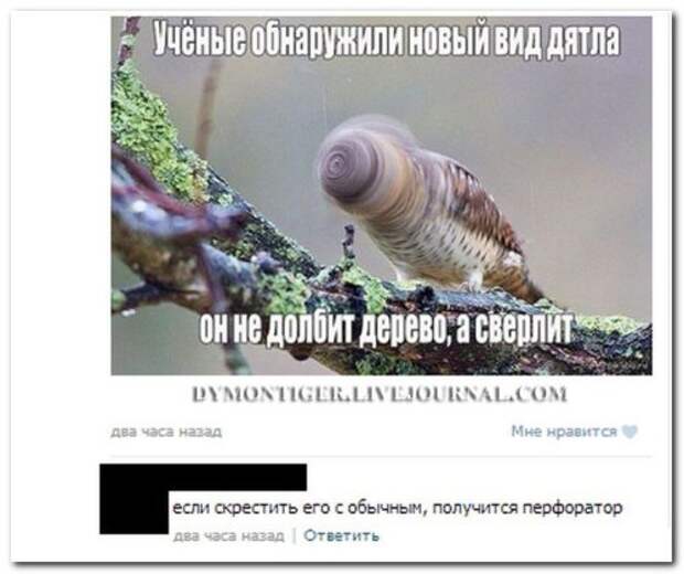 Ржачные комменты из соцсетей (22 фото)