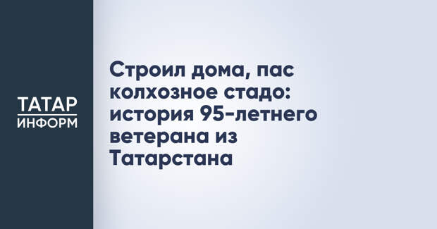 Строил дома, пас колхозное стадо: история 95-летнего ветерана из Татарстана