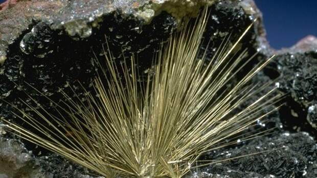 Минералы и руда, созданные колониями бактерий. Что такое бактериальное золото