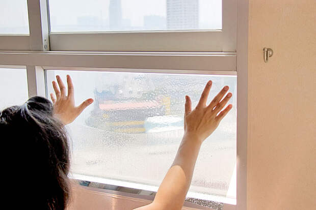 Чем закрыть окна от солнца: 5 способов спасти квартиру от жары