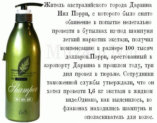 Глупые мировые новости в картинках (20 фото)