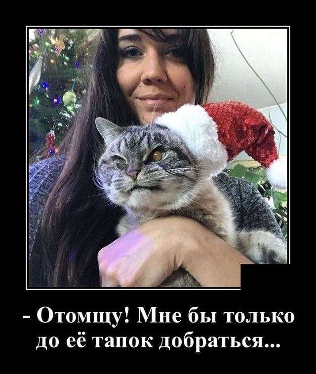 demotivatory-demotivator-smeshnye-demotivatory-demotivator-so-smyslom
