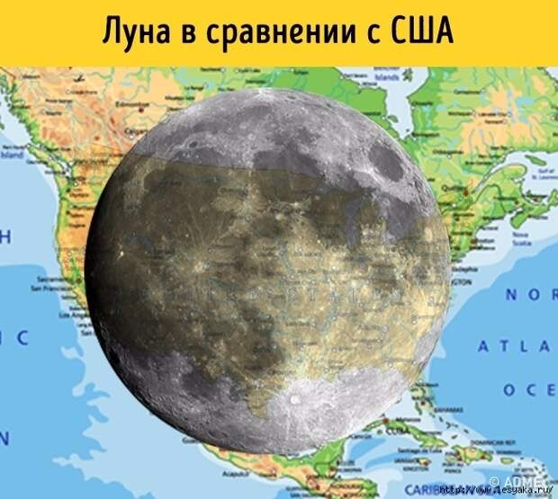 846215-24825310-11-0-1496232607-1496232610-650-1-1496232610-650-b05e665eeb-1496305771 (650x582, 224Kb)