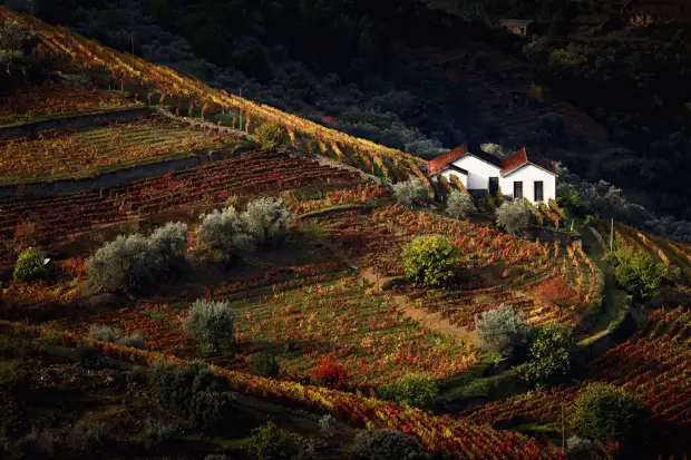 Португалия: от портвейна к столице 