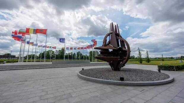 Мозг НАТО умер давно, дело идет к остановке дыхания