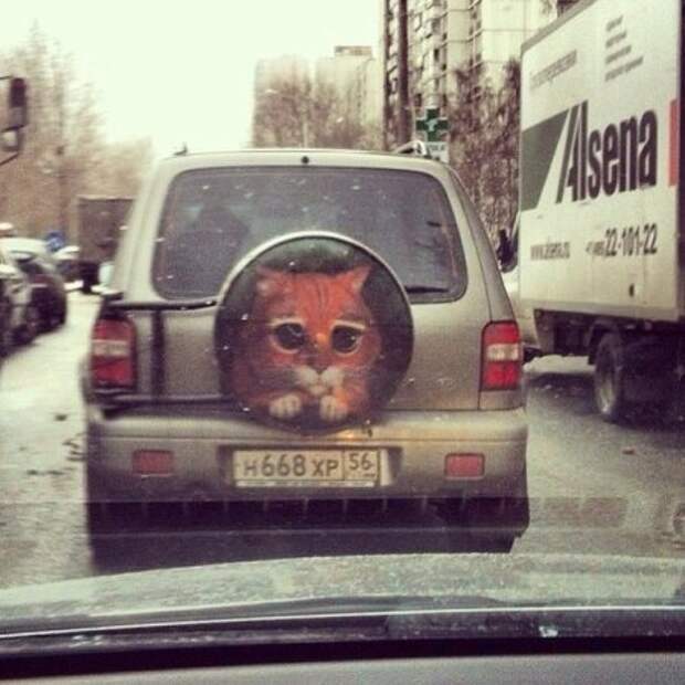Немного вечернего позитива.
