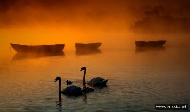 nature_013