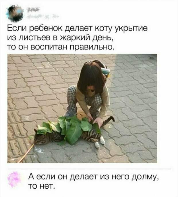 Даже самую скучную картинку в соцсети спасет искрометный комментарий Даже самую скучную картинку в соцсети спасет искрометный комментарий интересно, картинки, комментарии, приколы, смешно, соцсети, юмор