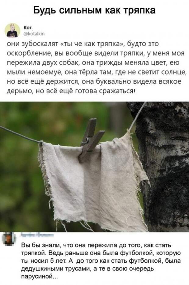Картинки с надписями и всякие жизненные фразы