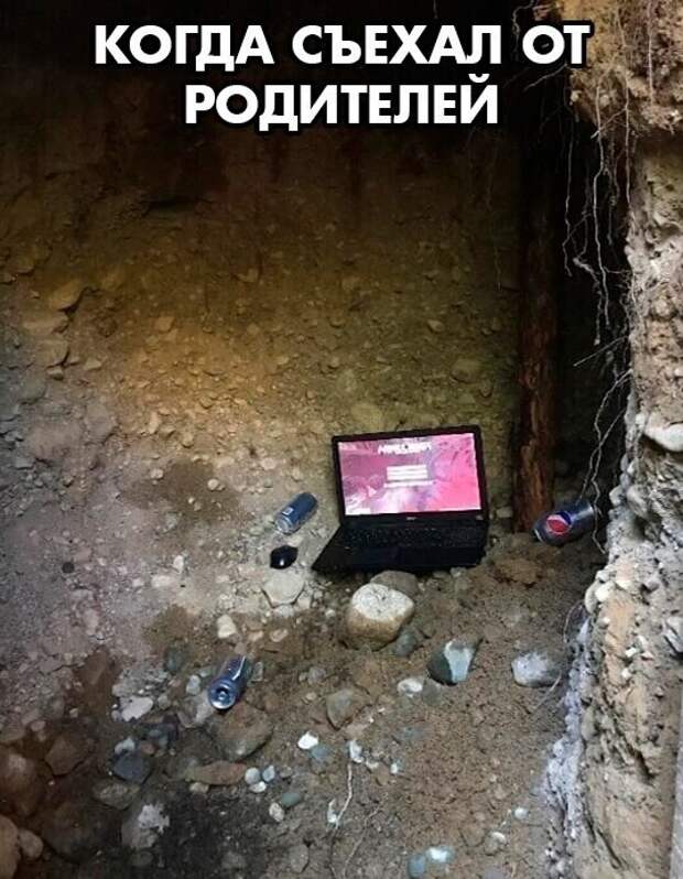 Мемы на тему Мемы на тему
