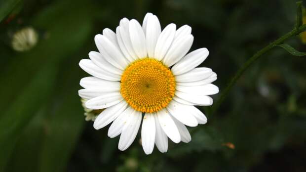 Тест на гибкость мышления: только гений найдет все спрятанные слова