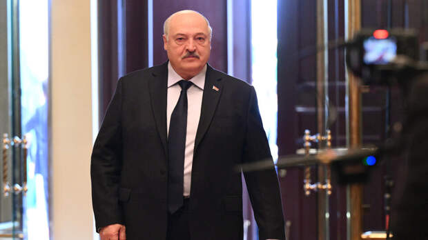 Лукашенко вместе с сыном расчистили сугробы после снегопада