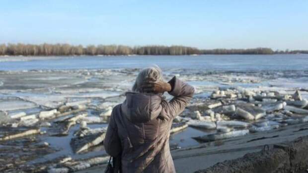 До +14 градусов. Какая погода ждет Алтайский край 31 марта