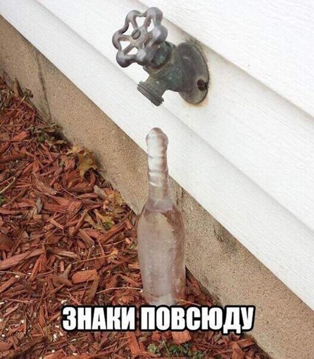 Алкоюмор