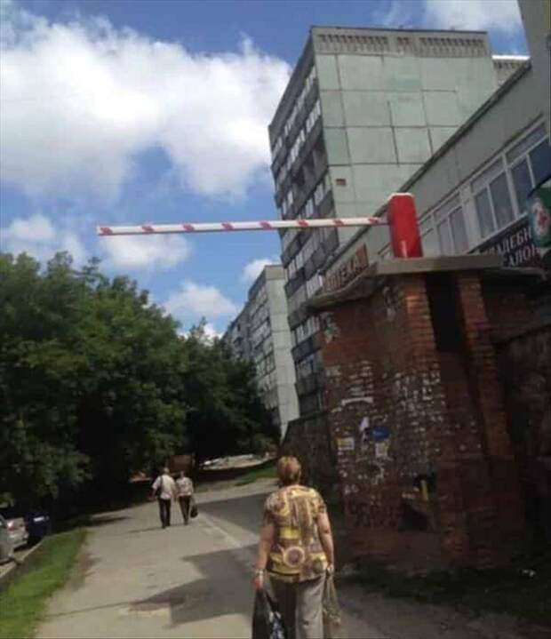 Подборка прикольных картинок