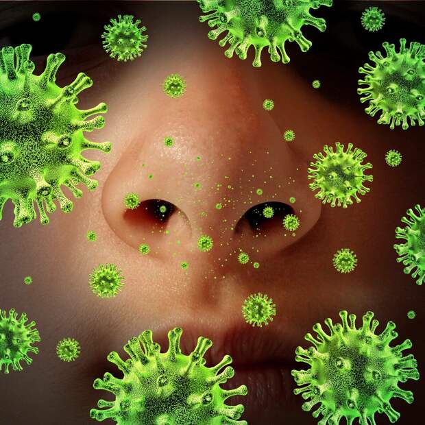 Почему вирус гриппа чрезвычайно быстро меняется, адаптируется и очень легко передаётся?