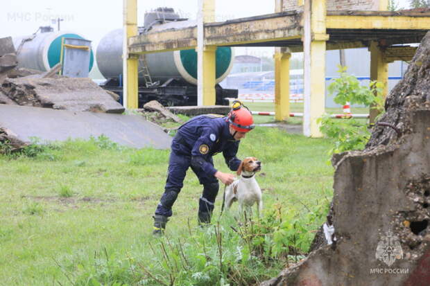 Силы и средства Корпуса стран СНГ участвуют в совместном учении