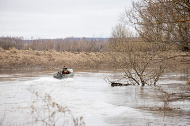 На экомониторинг тульских рек потратят более миллиона рублей
