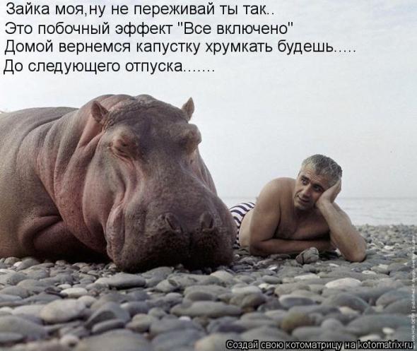 Котоматрицы(картинки с надписями)