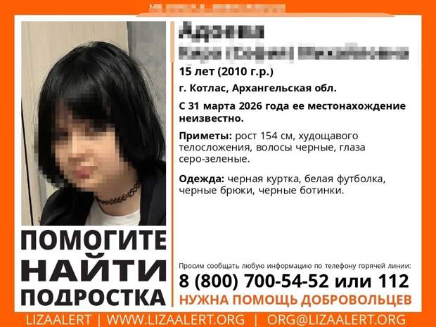 Бастрыкин заинтересовался пропажей 15-летней школьницы под Архангельском