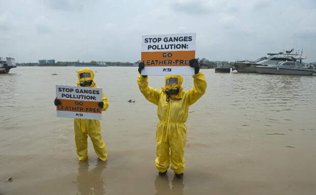 Протесты против загрязнения реки Ганг отходами кожевенных фабрик.