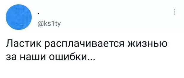 Подборка забавных твитов обо всем