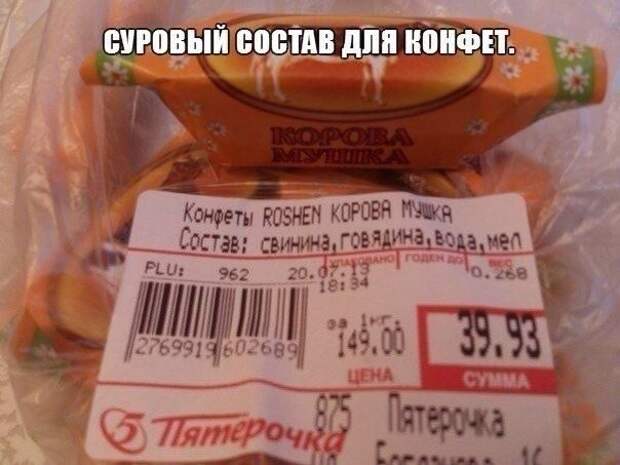Картинки со смешными подписями