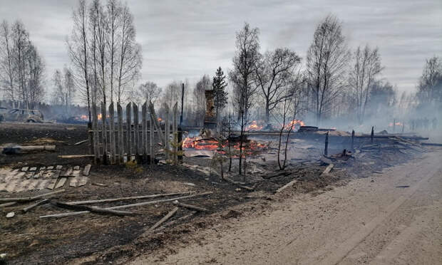 В умирающей деревне Красноборского района сгорели 11 домов