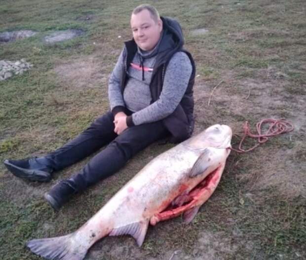 Рыбаки выловили в Оке под Рязанью толстолобика весом 32 килограмма