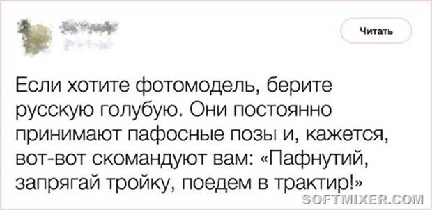 clip_image006